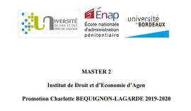 Mémoires des élèves en Master 2 Droit de l’exécution des peines et droits de l’Homme (2019/2020)