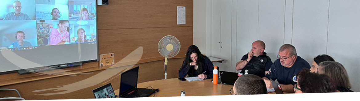 Webinaire entre l’ÉNAP et le Centre suisse de compétences en matière d’exécution des sanctions pénales sur la digitalisation de la formation pénitentiaire